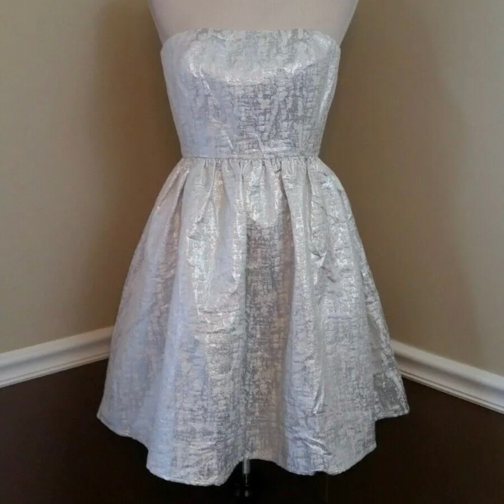 GORGEOUS Silver Strapless Wendy Bird ModCloth!